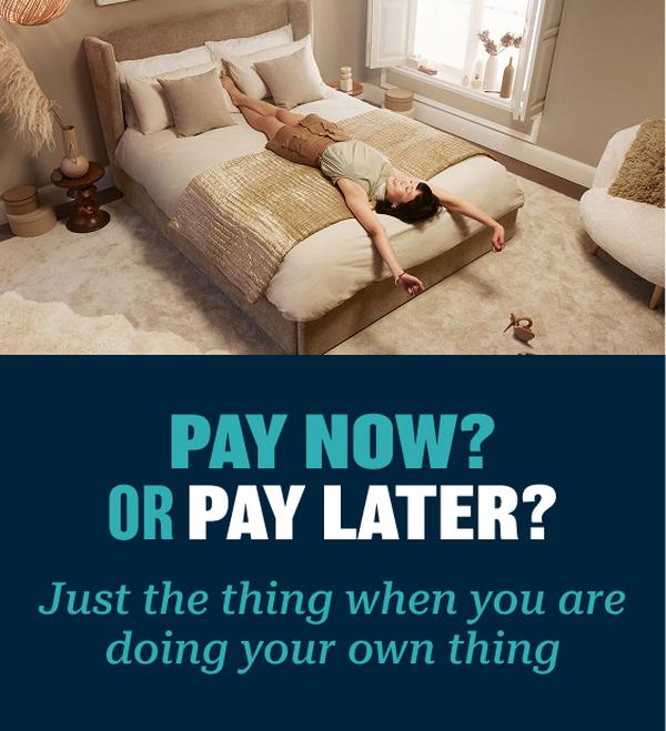 Interest free credit buy now pay next year