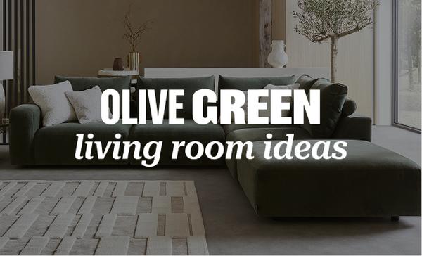 Olive green living room ideas