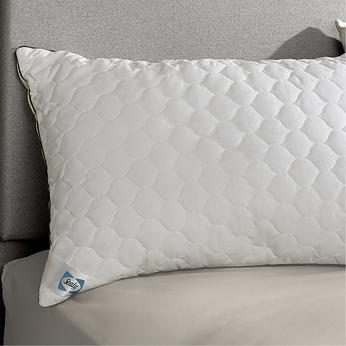 sealy pillow on bed