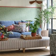 blue sofa surrounded by plants