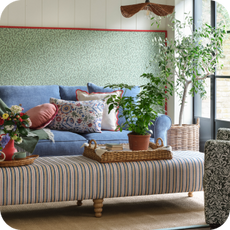 blue sofa surrounded by plants