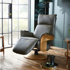 football room decor with tuscany chair