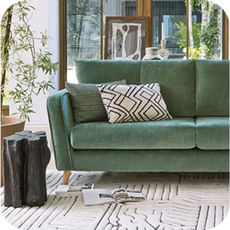 green sofa surrounded by plants