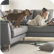 a person laying on a grey corner sofa with a brown dog