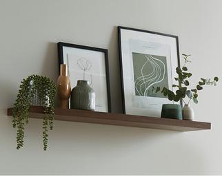 String of pearls plant
