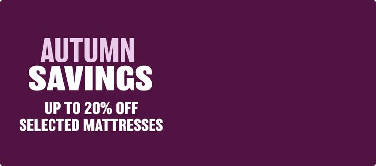 autumn savings banner