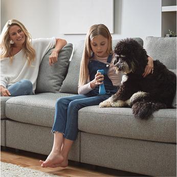 a family sat with a dog on a grey sofa