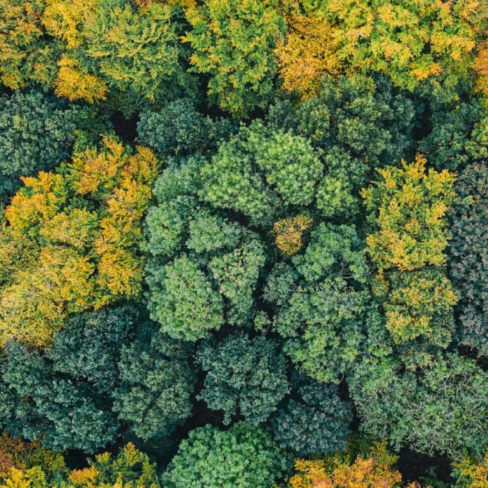 Biodiversity policy