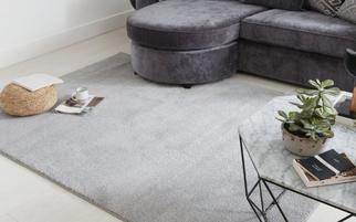 Eito Light Grey Small Rug