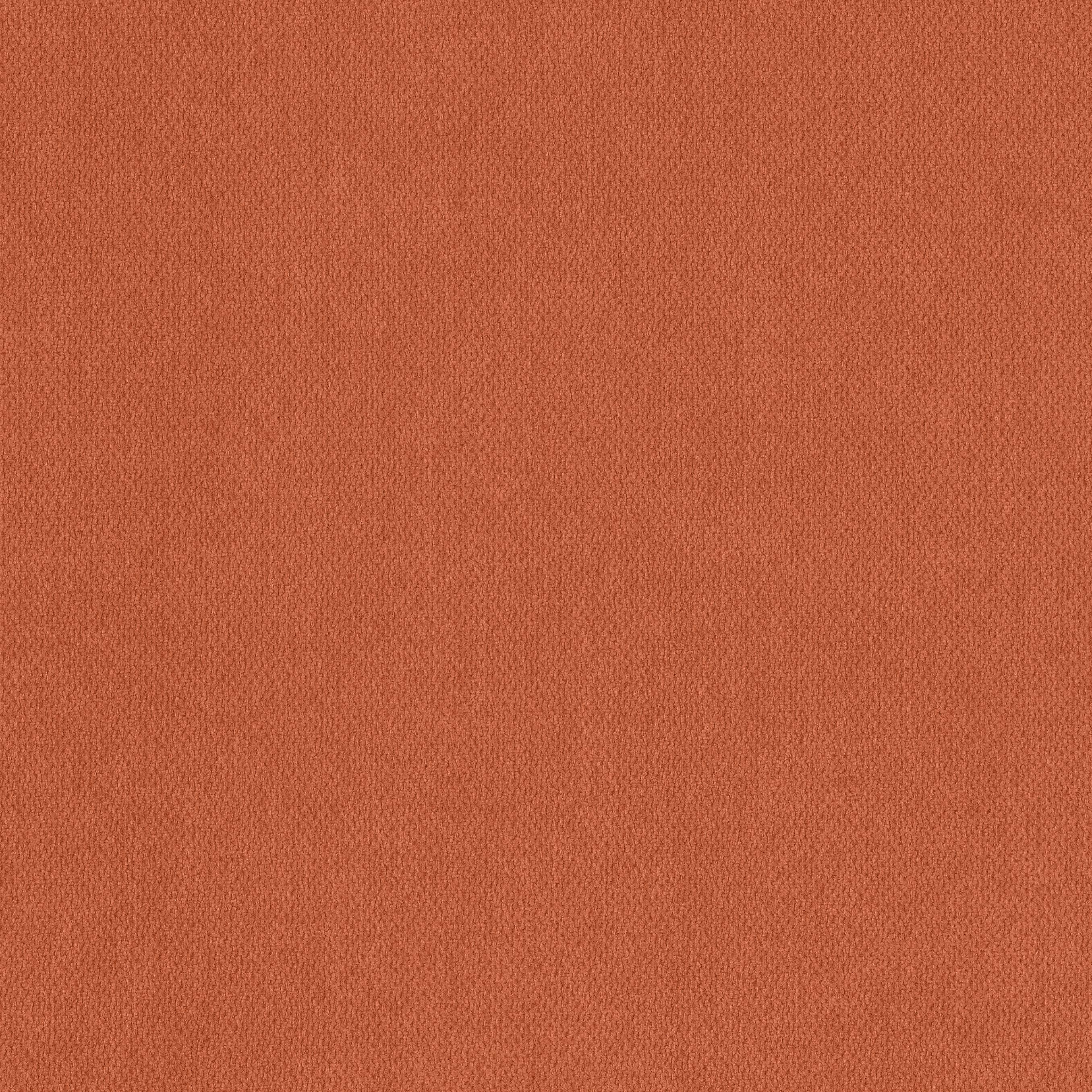 Spice