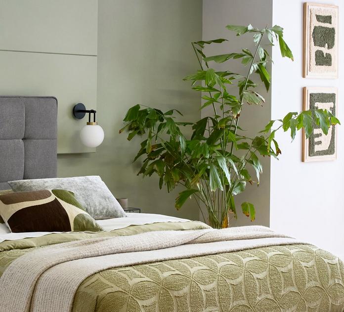 close up of a plant inside a bedroom