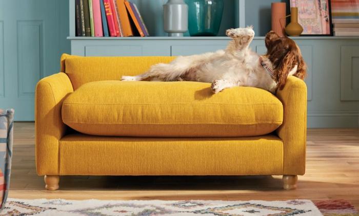accessories category page with the joules hallaton pet sofa