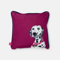 joules scatter daisy dalmation