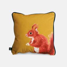 joules scatter sidney squirrel