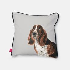 Joules Scatters Basset Hound
