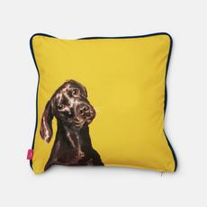 Joules Scatters Basset Hound