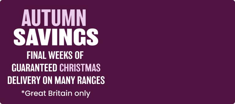 autumn savings banner