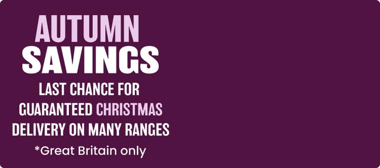 autumn savings banner