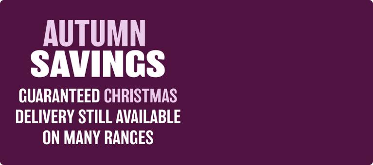 autumn savings banner