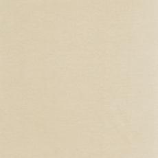 Platinum Swatch Natural