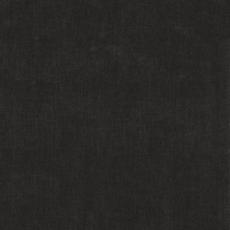 Platinum Swatch Slate