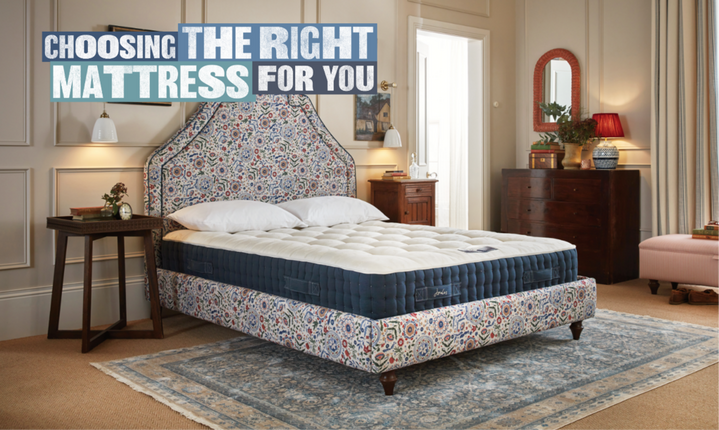 buy a sofa and rug save 20