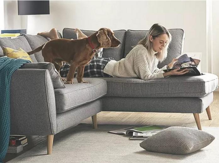 discover dfs