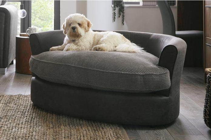 Image of a white fluffy dog laid on two tone leather a jumbo cord pet sofa