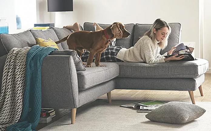 Young female adult laying on a grey sofa with her dog whilst reading a magazine