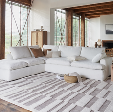 christmas delivery with the platinum airee sofa