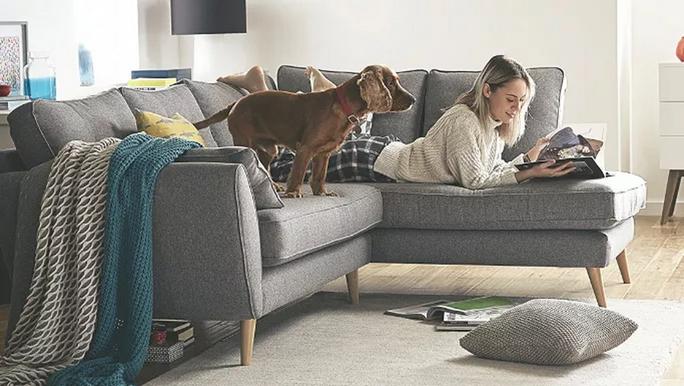 Young female adult reading a magazine whilst laid on a grey sofa with her dog