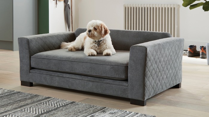 shop by room category pet sofas