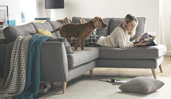 Fabric Sofa Care Tips And Cleaning, What Is The Best Sofa Material For Dogs