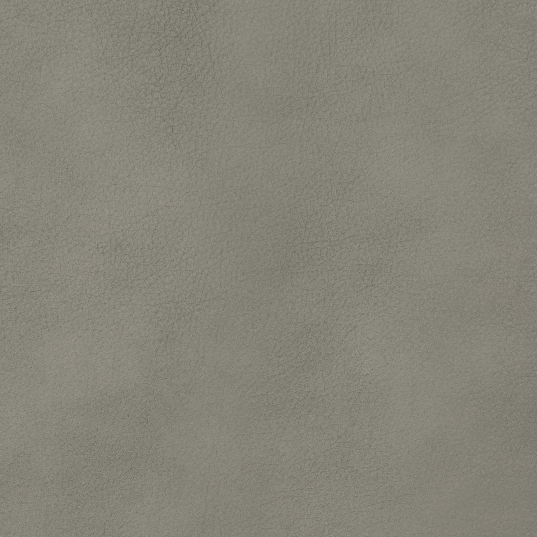 Steel