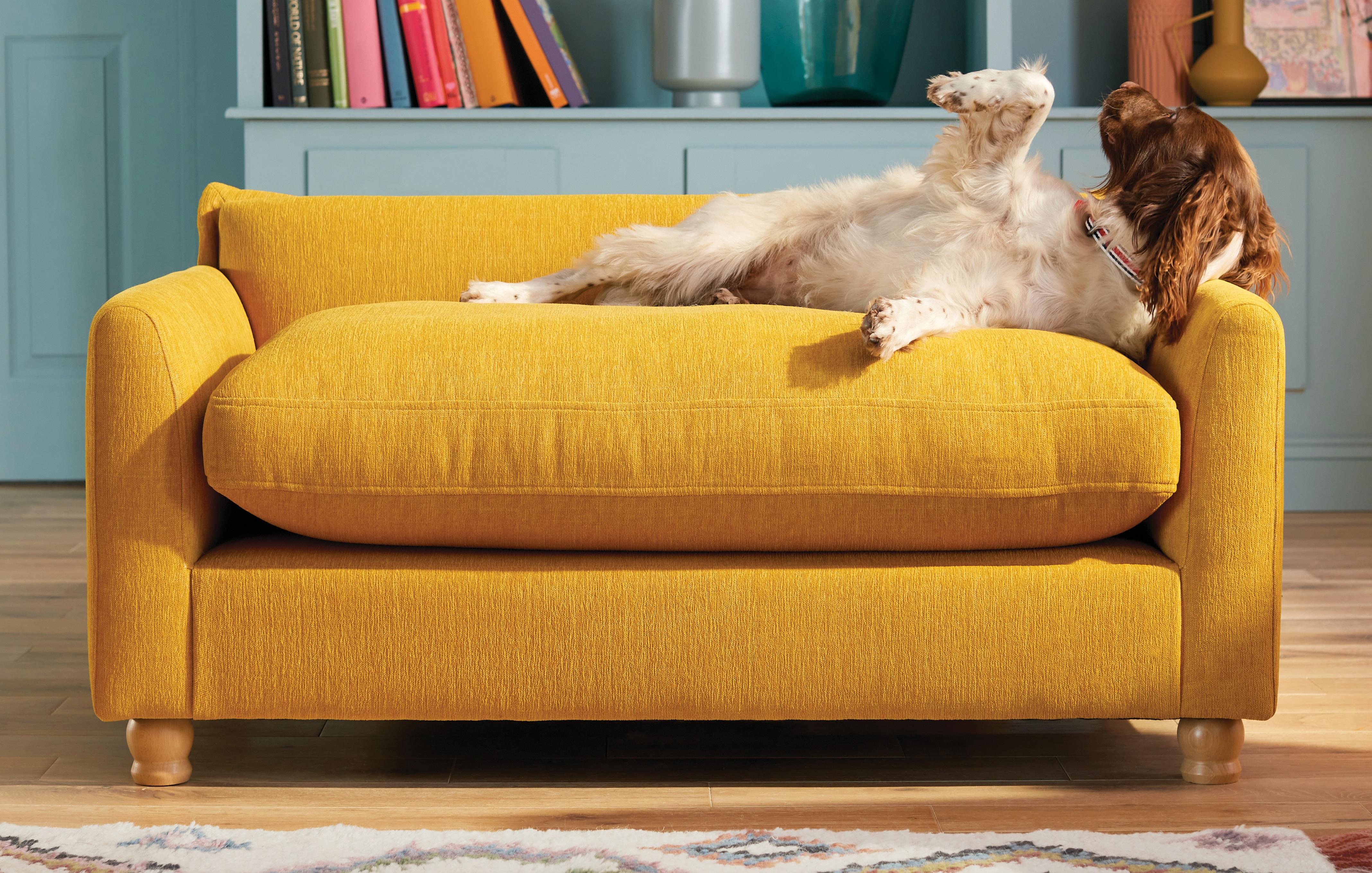 Dog hotsell sofa ireland