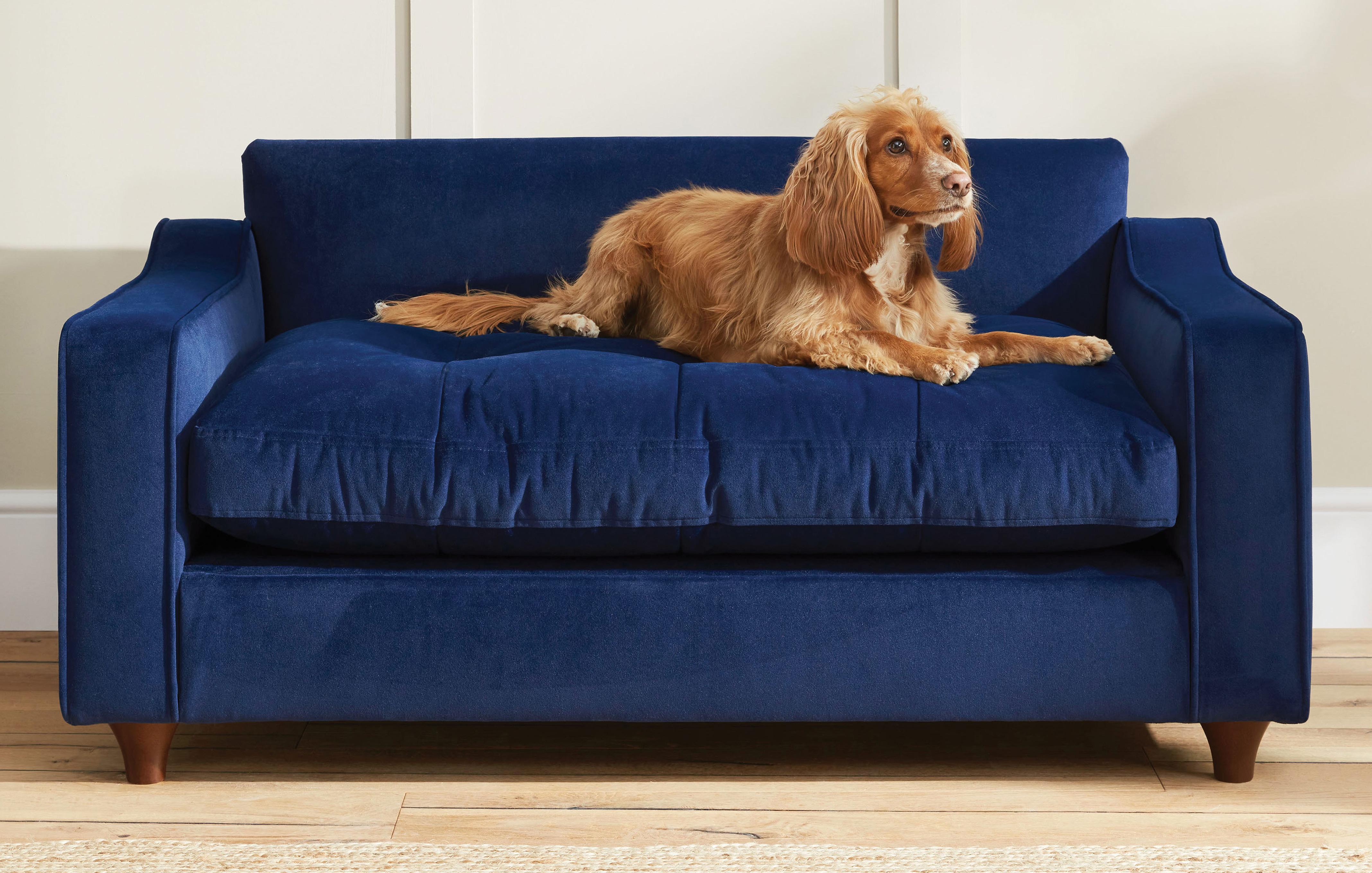 Luxury dog couch hotsell