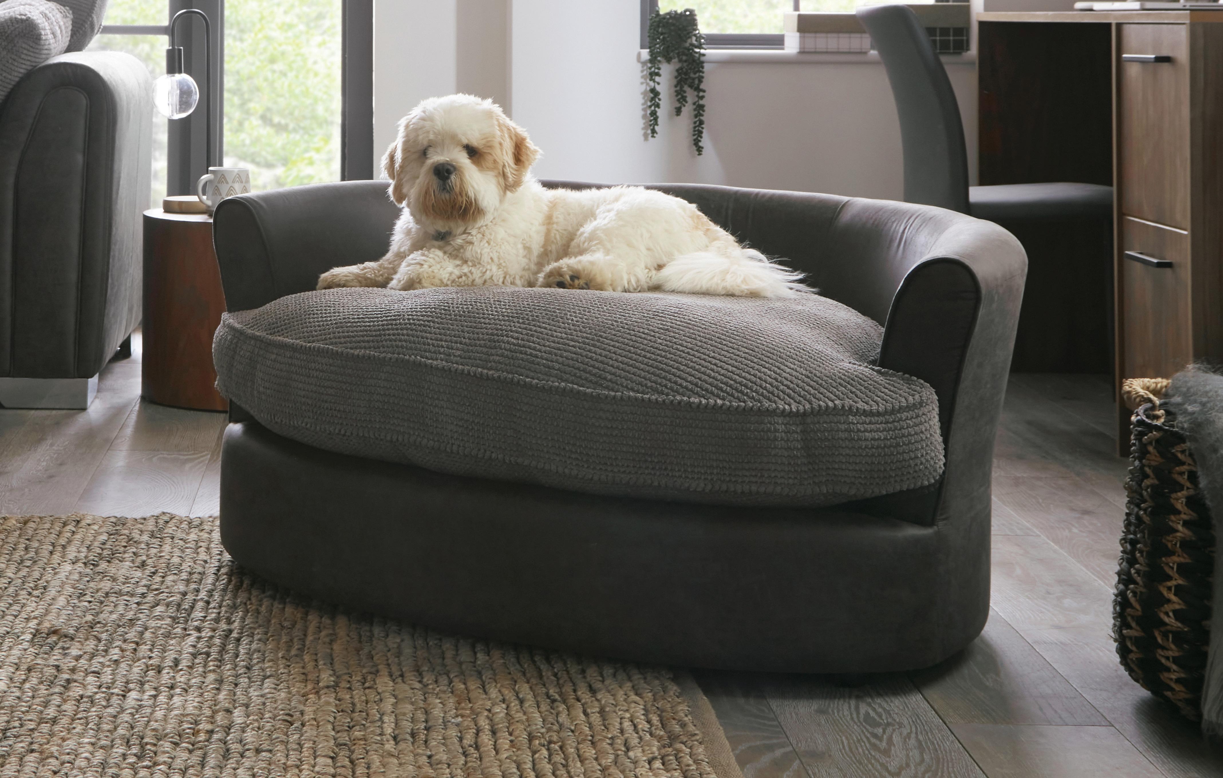 Dfs dog deals sofa