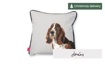 Basset-Hound Small Scatter Cushion