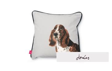 Basset-Hound Small Scatter Cushion
