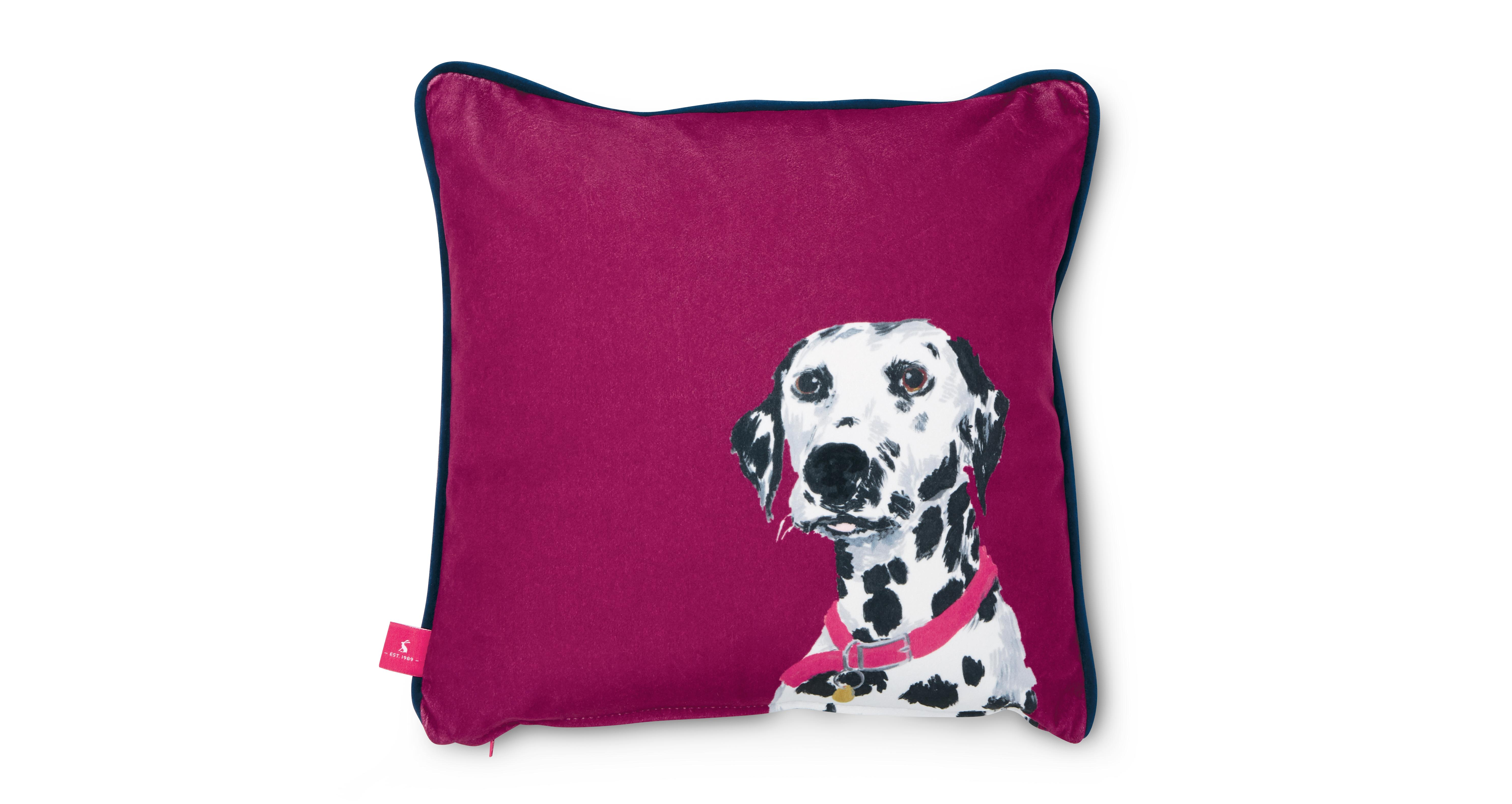 Dalmatian cushion clearance