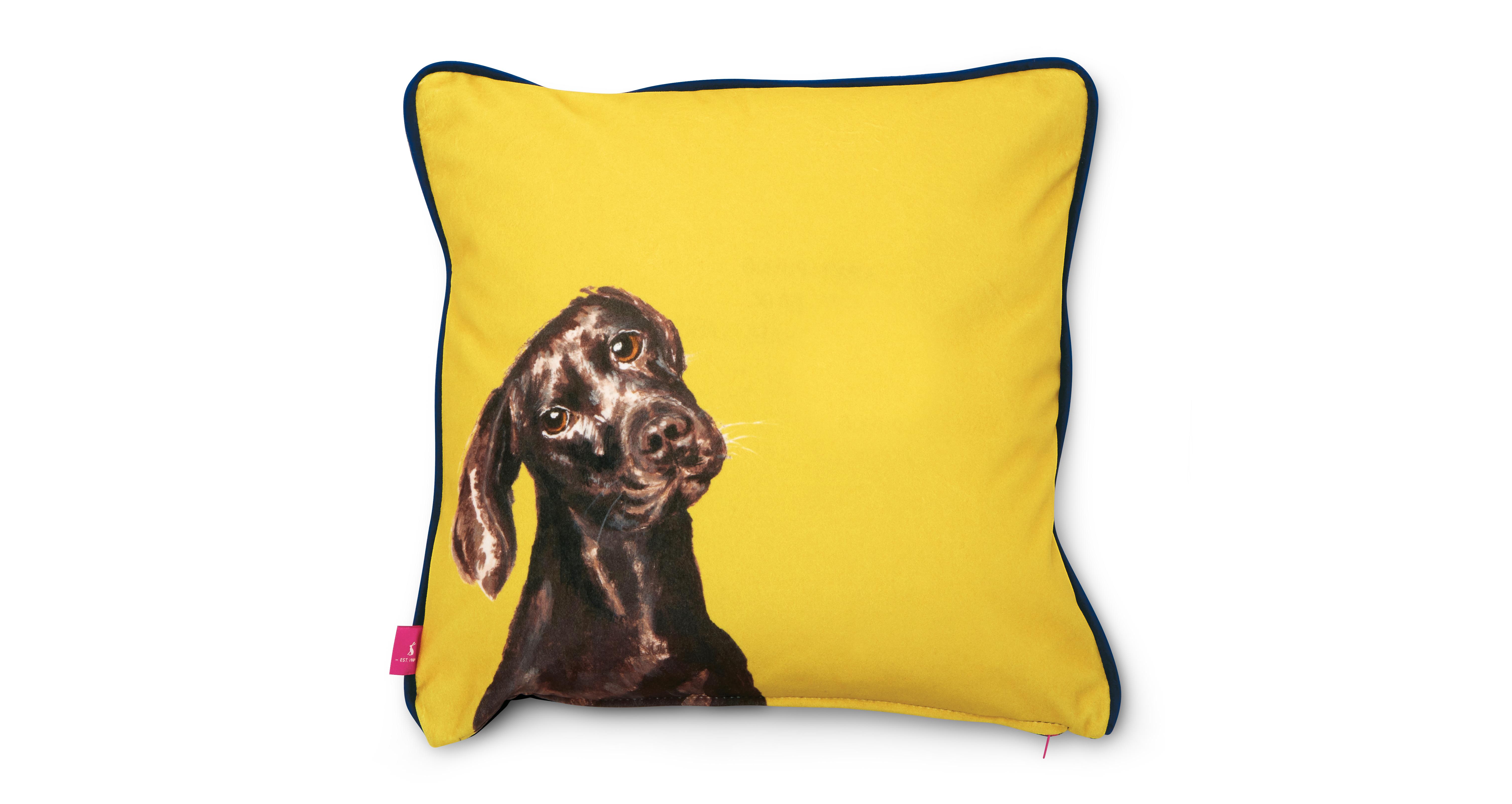 Joules Scatters Laura Labrador Small Scatter Cushion DFS