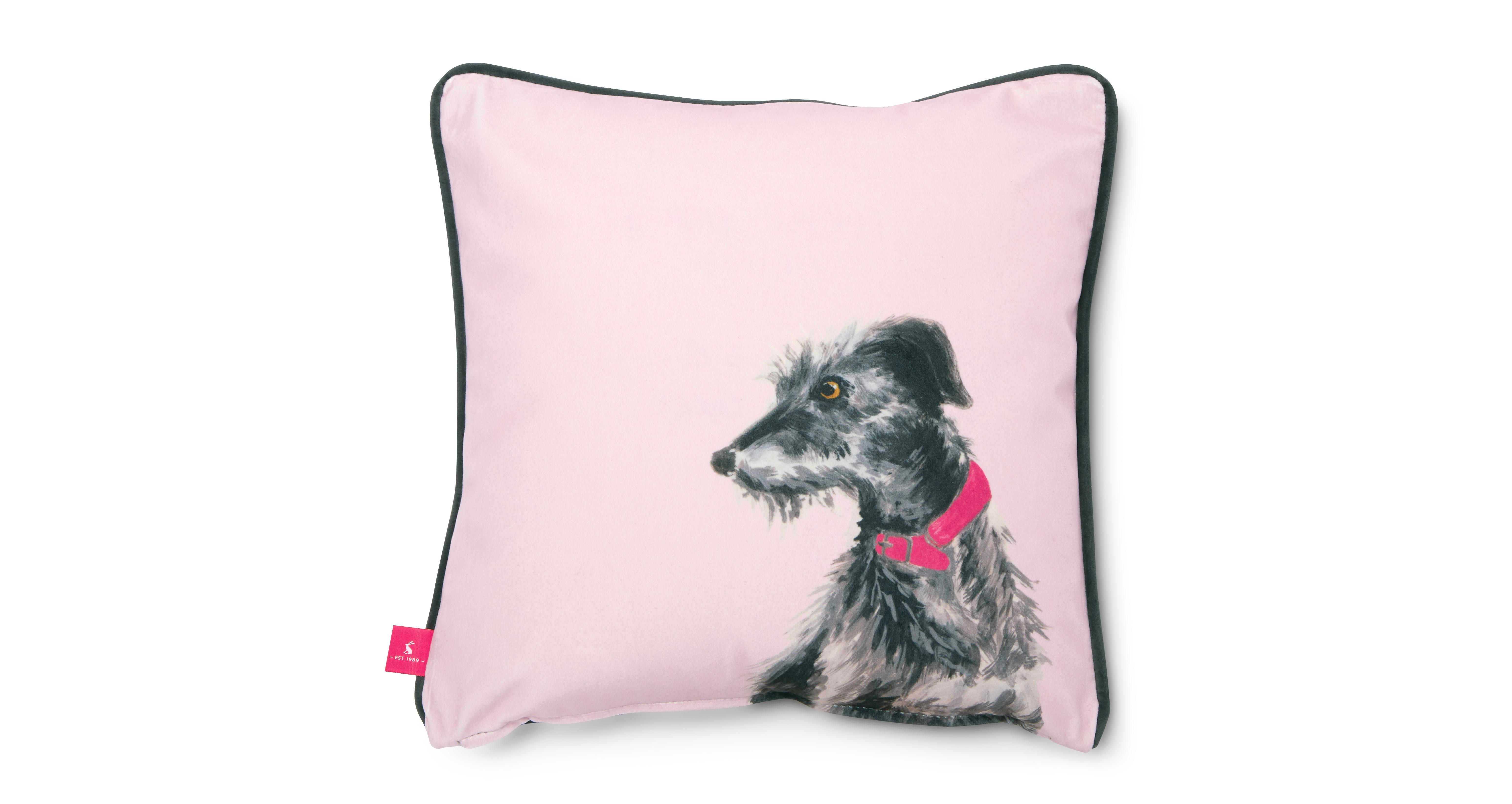 lurcher cushion