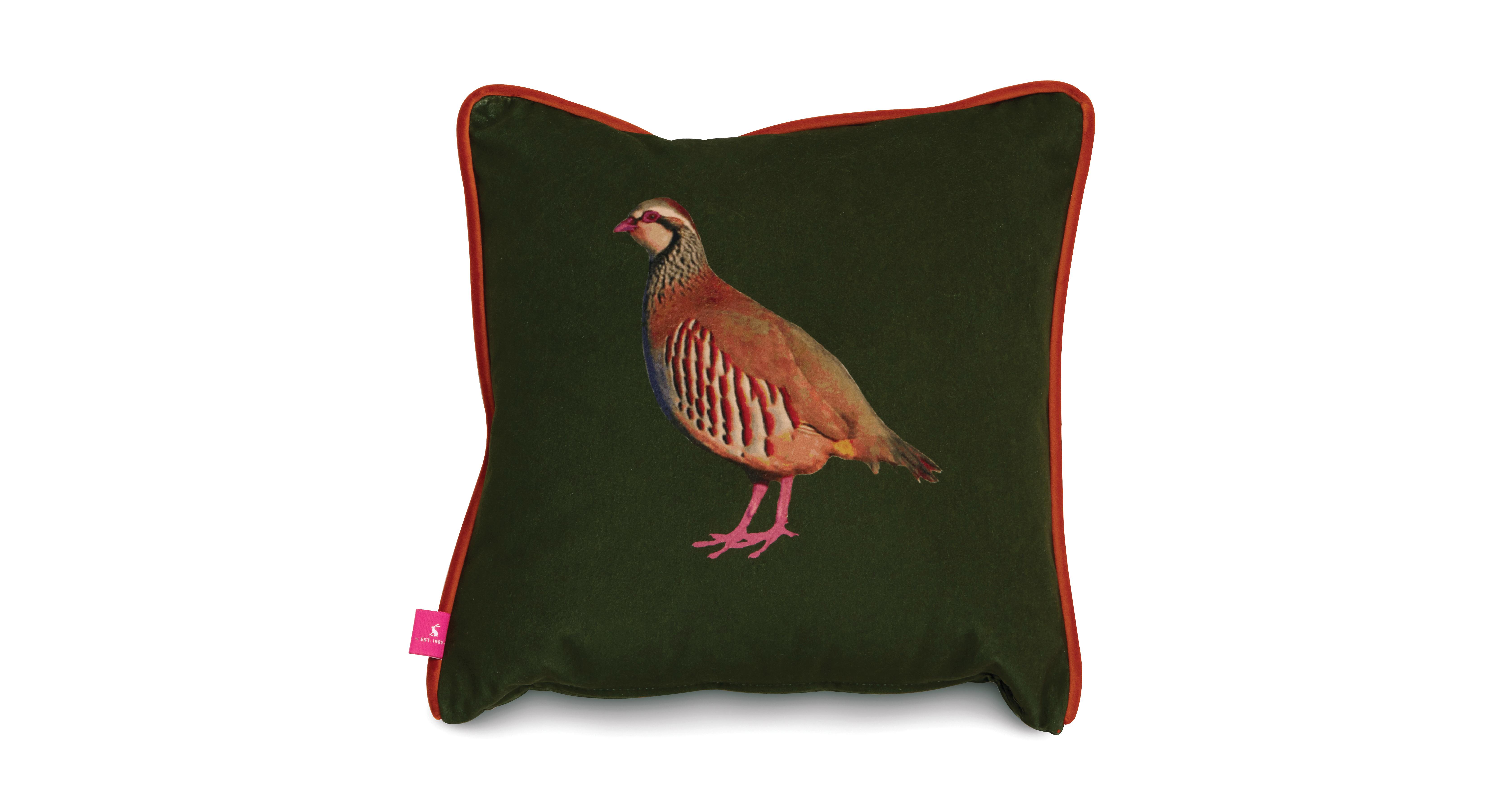 Joules Scatters Peter Partridge Small Scatter Cushion DFS
