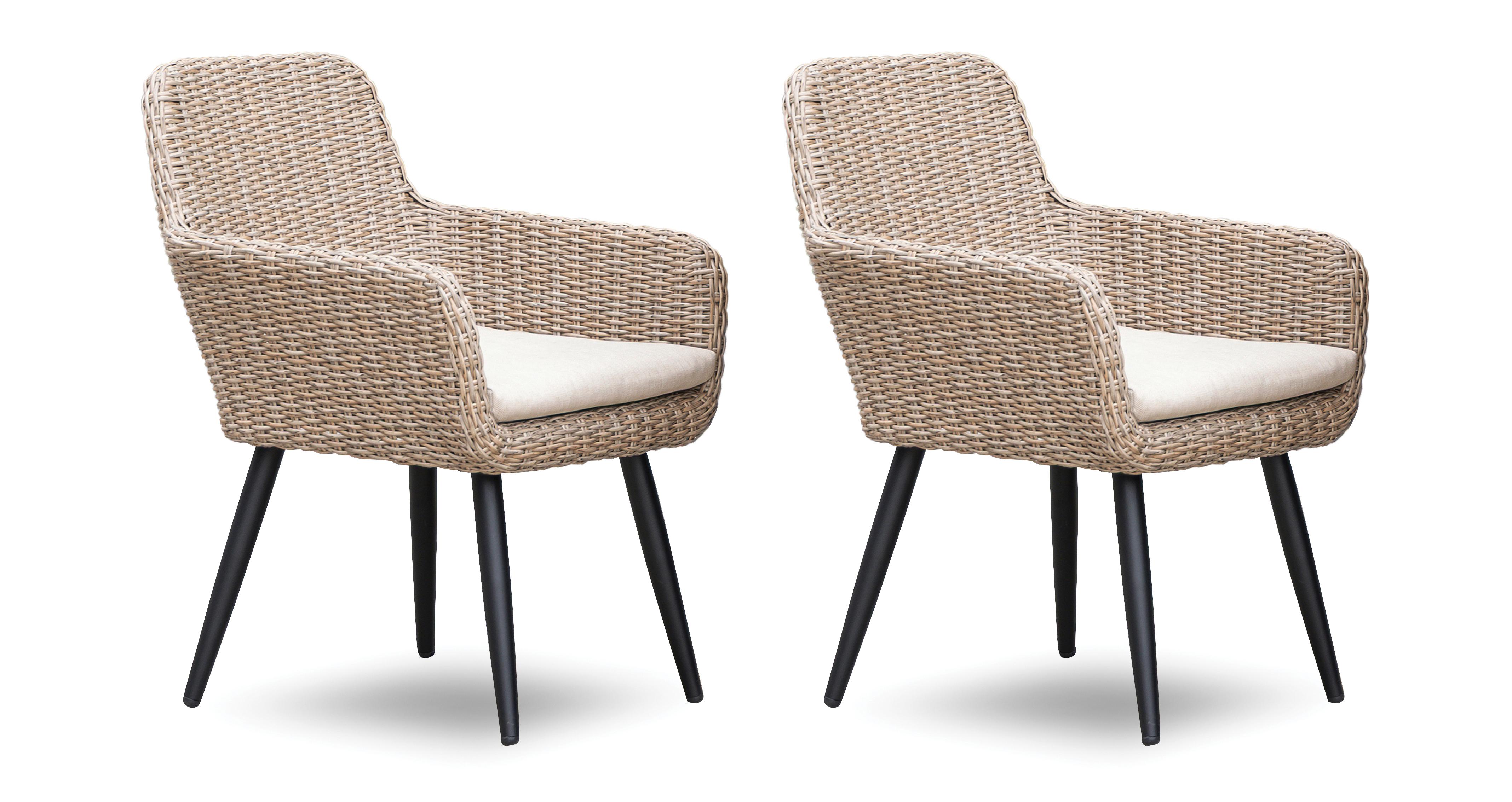 Set of 2 Dining Chairs