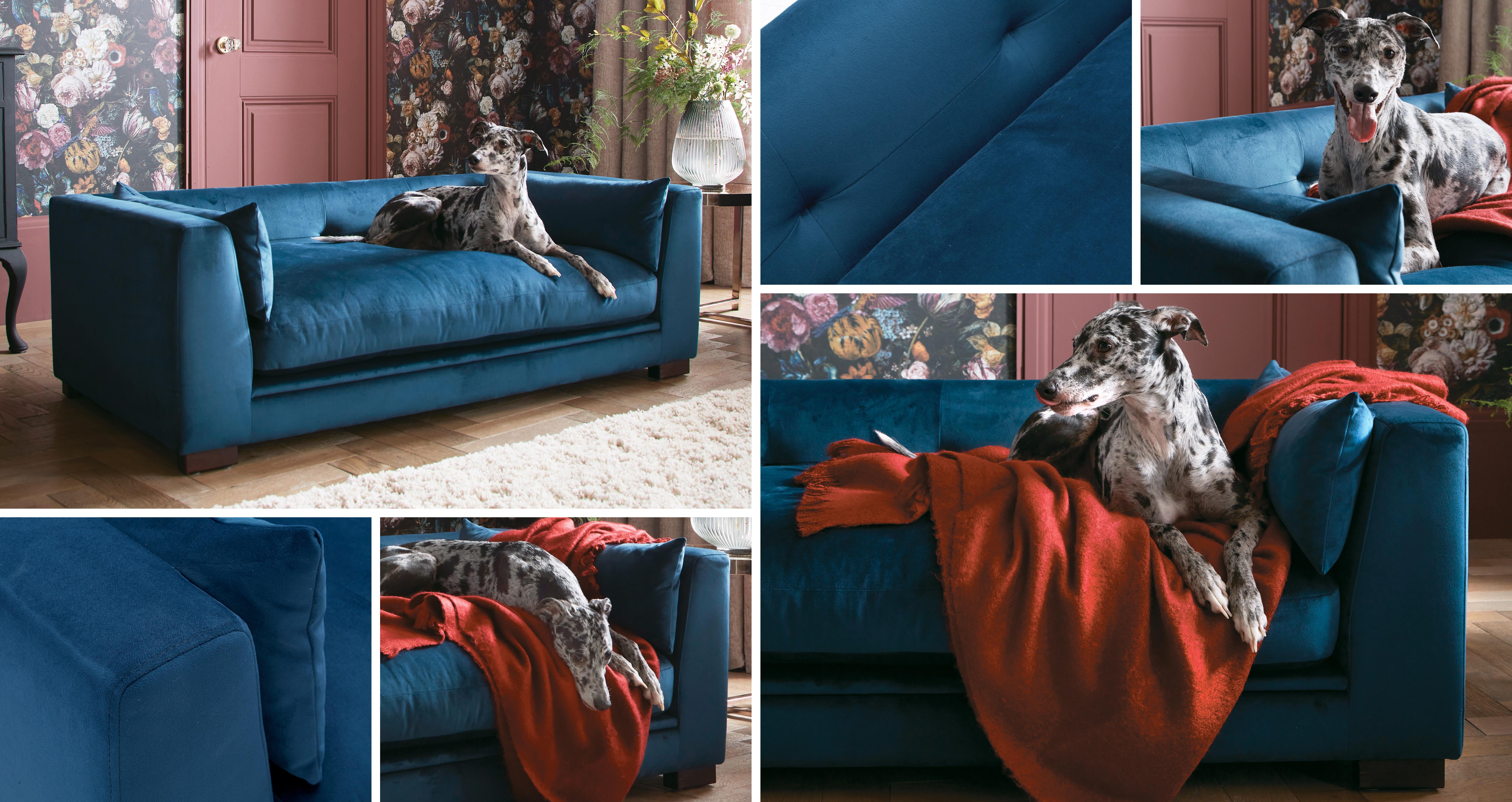 plushpetsofa_cn_sensualvelvet_darkblue_view3