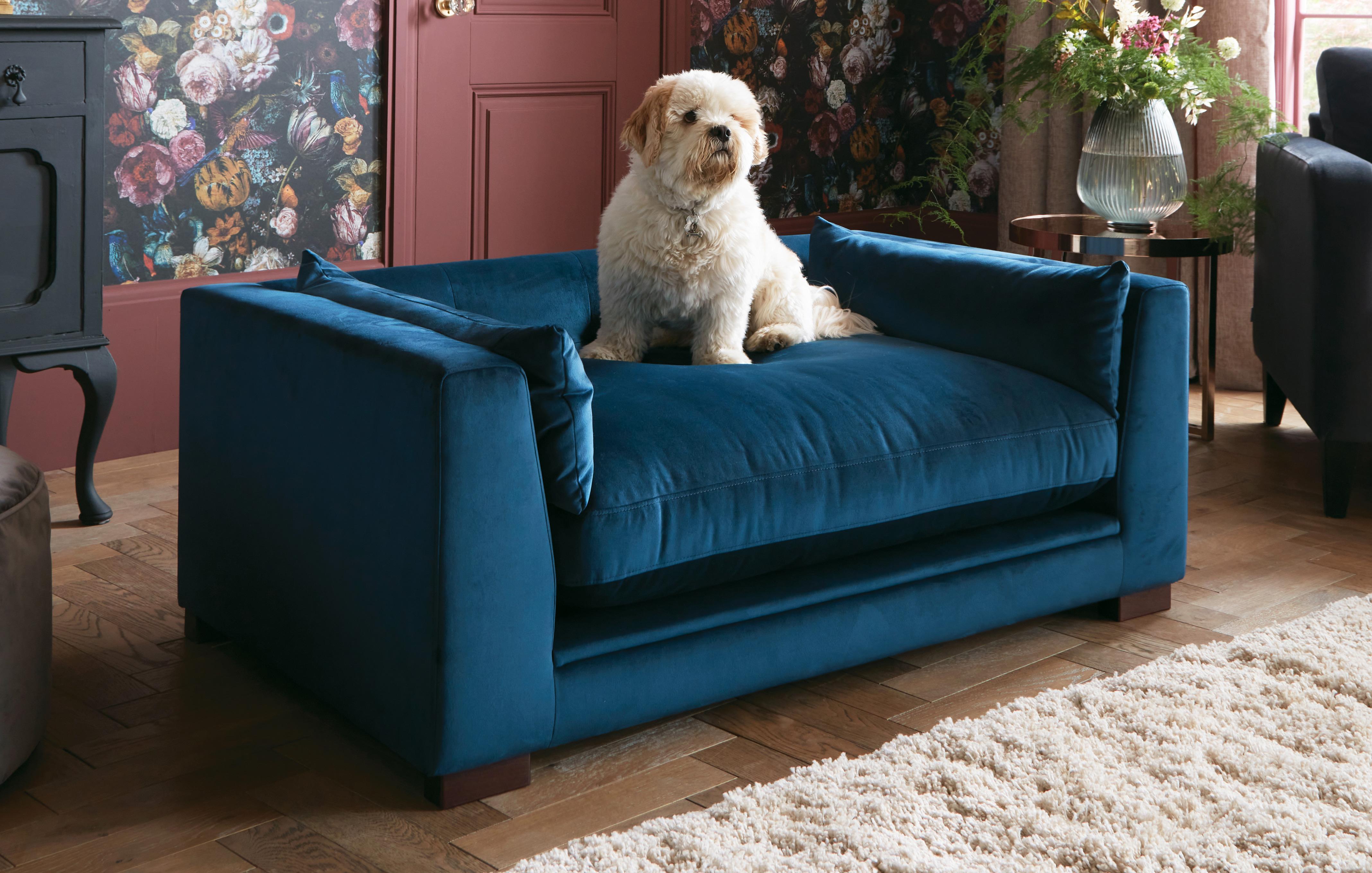 Dog Sofas Sofa Dog Beds DFS