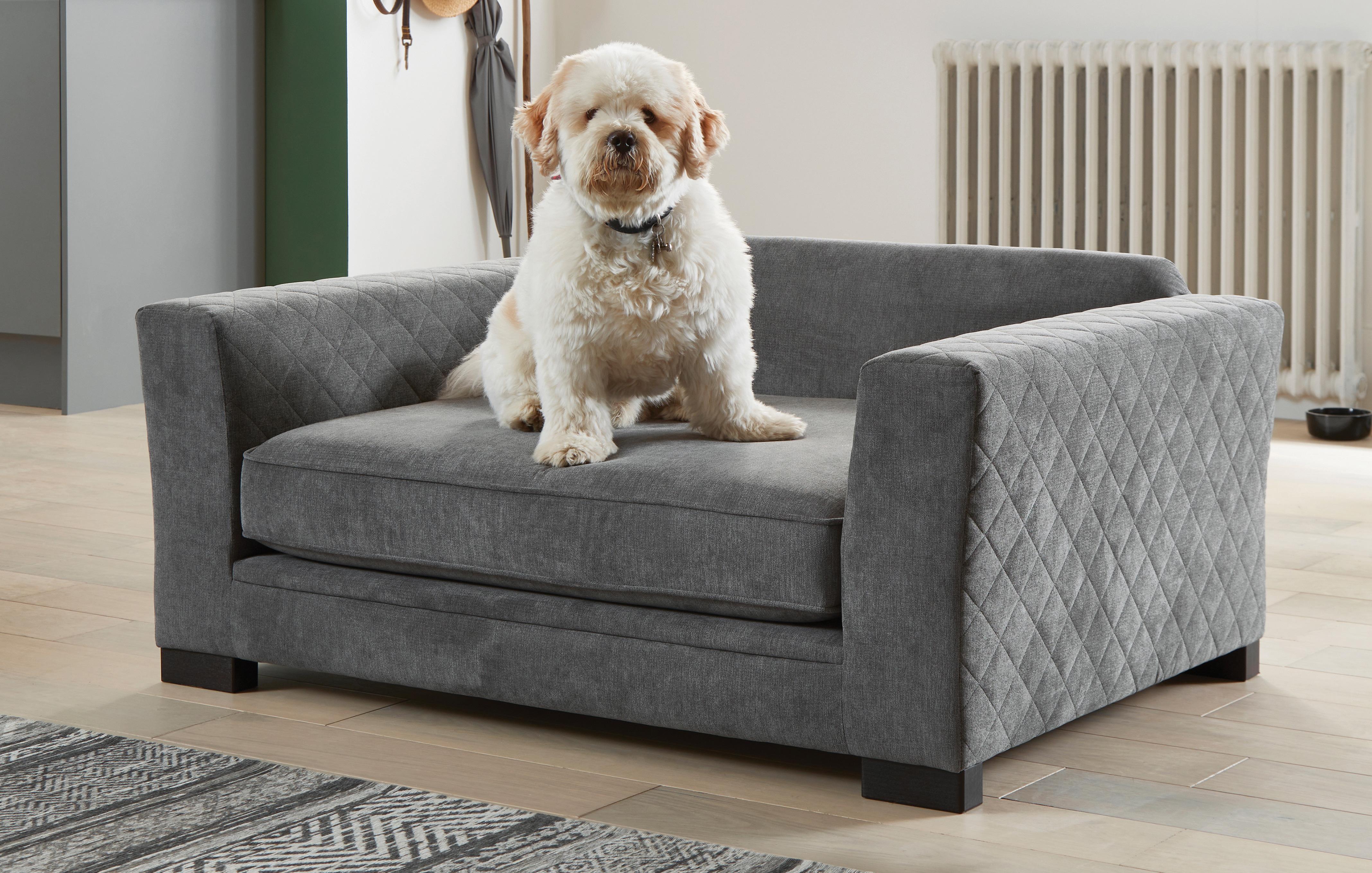 Mini sofa on sale dog bed