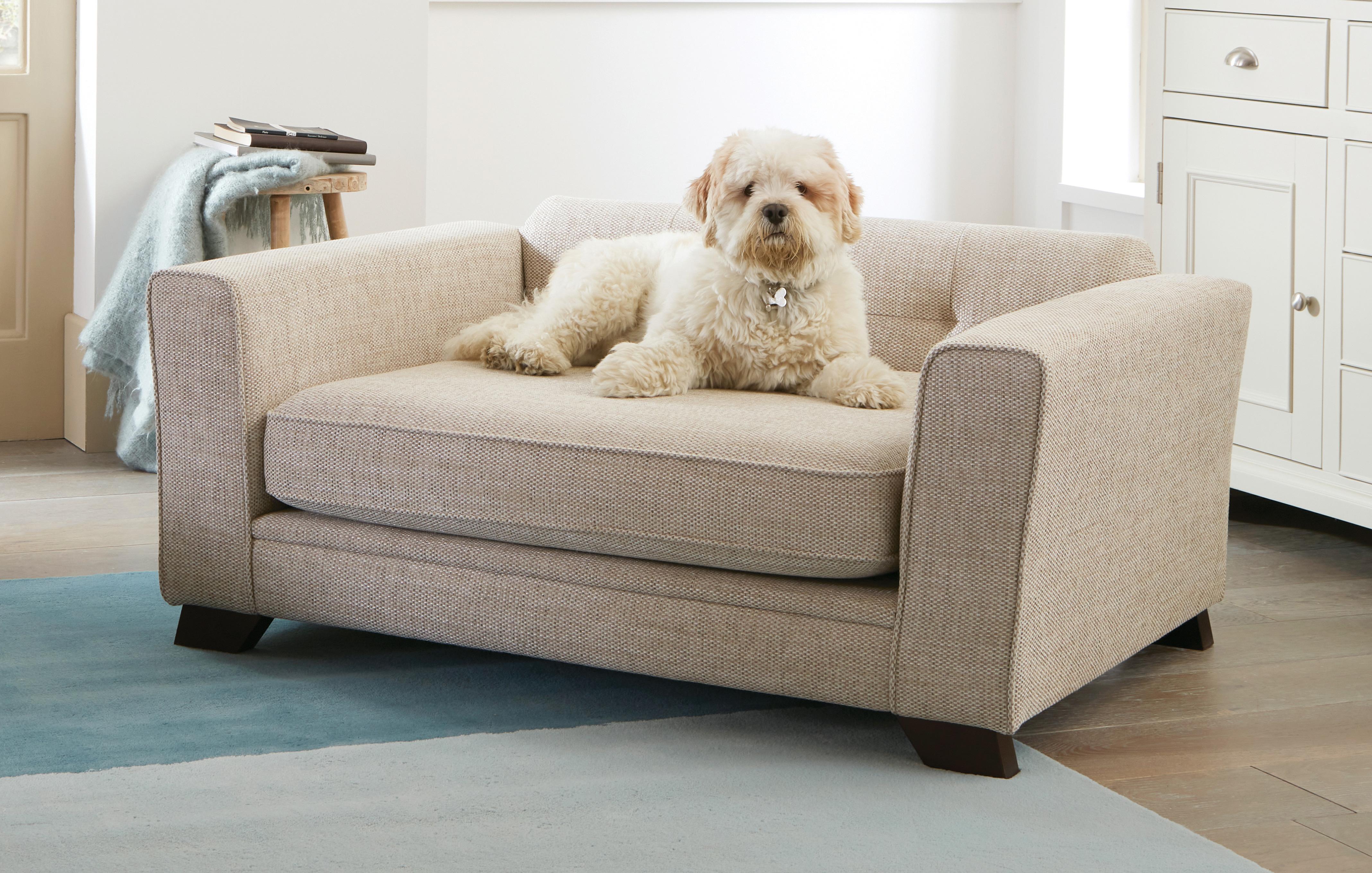 Mini shop dog sofa