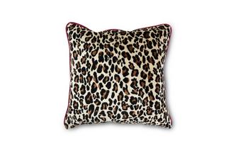21 Inch Scatter Cushion 